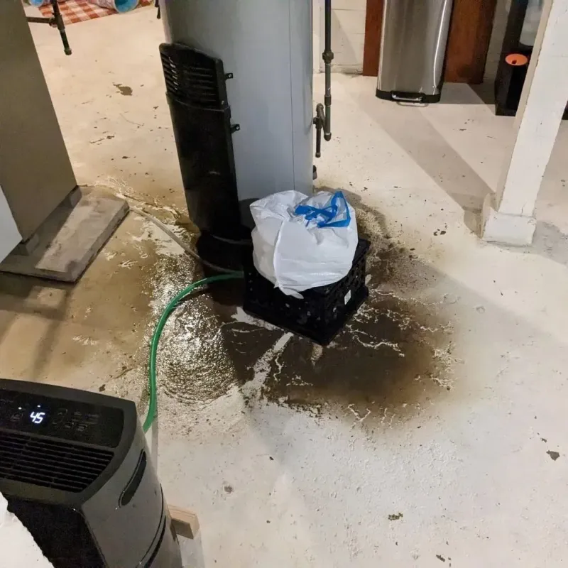 Sewage Backup Cleanup Service in Covelo, CA